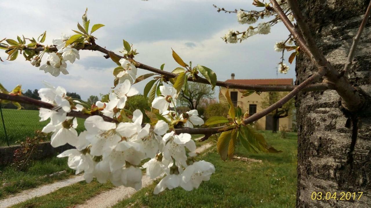 B&B Fior Fiore Spello Eksteriør billede